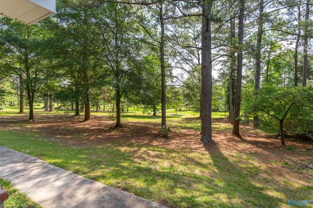 2810 Mountain View Drive, Southside, AL 35907