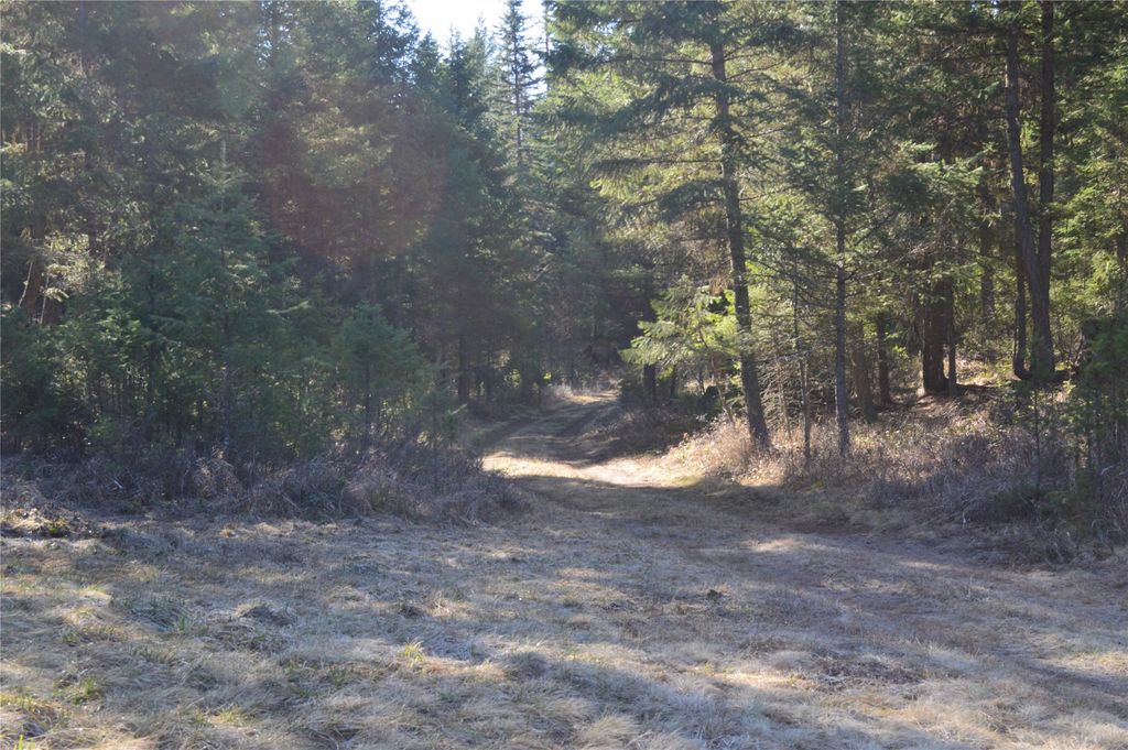 772 Rifle Range Road, Whitefish, MT 59937 photo 10