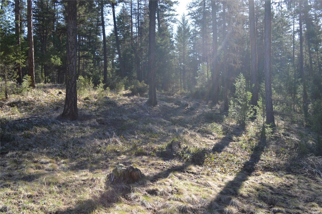 772 Rifle Range Road, Whitefish, MT 59937 photo 11