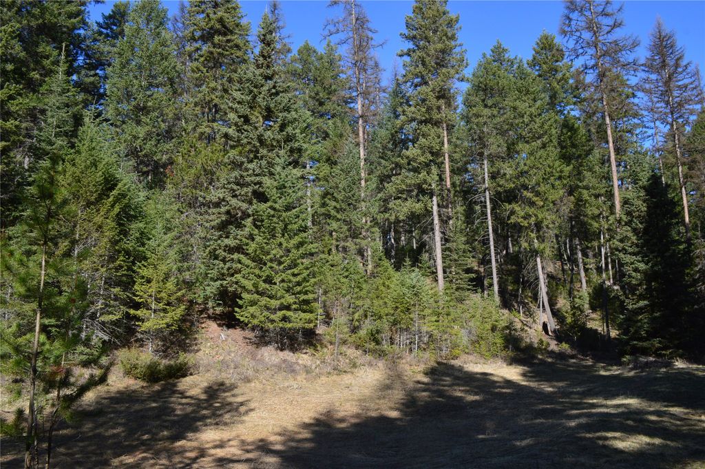 772 Rifle Range Road, Whitefish, MT 59937 photo 12