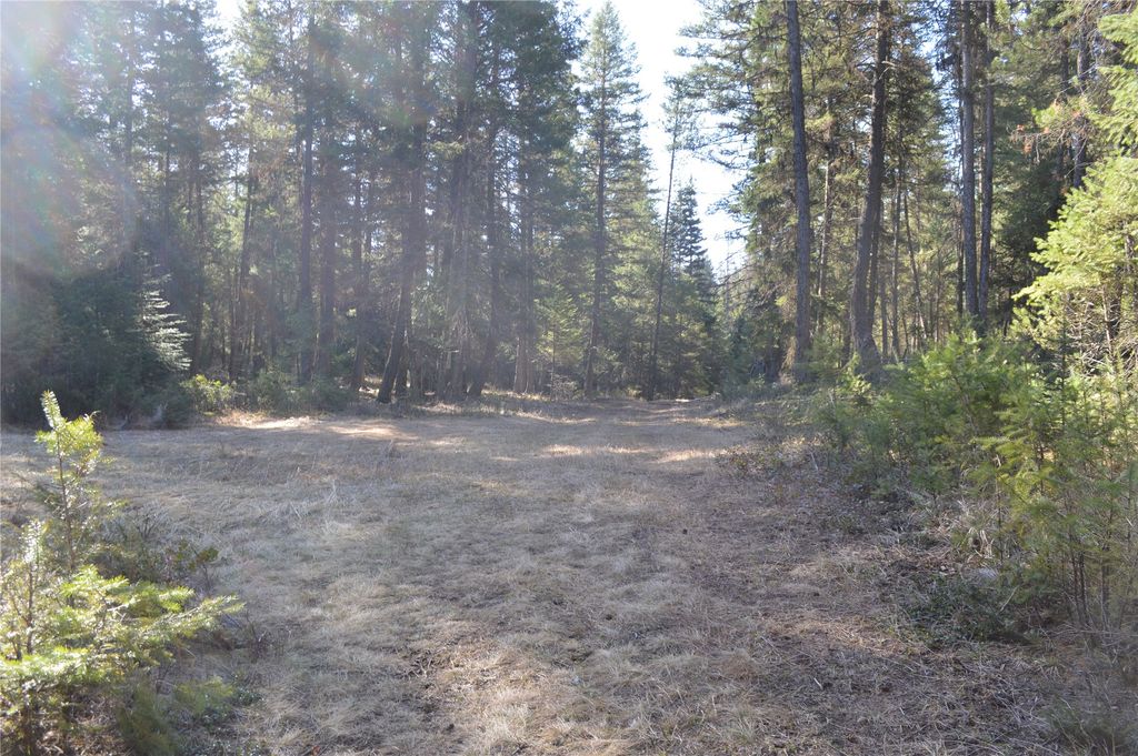 772 Rifle Range Road, Whitefish, MT 59937 photo 3