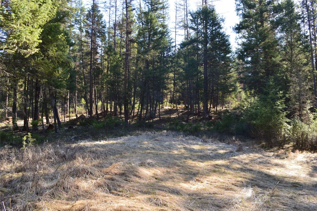 772 Rifle Range Road, Whitefish, MT 59937 photo 4