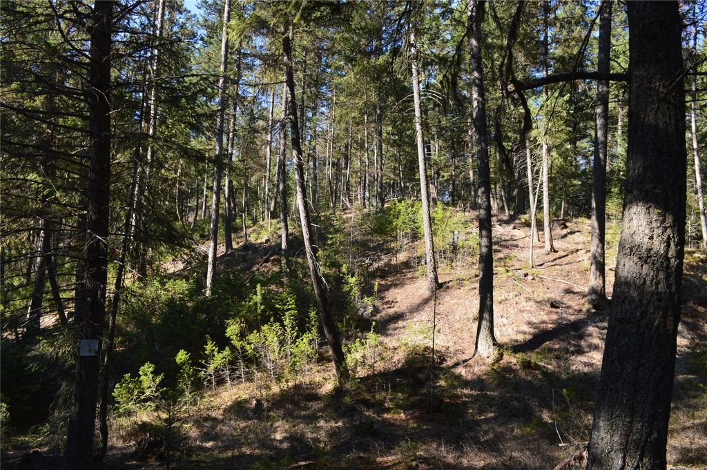 772 Rifle Range Road, Whitefish, MT 59937 photo 5