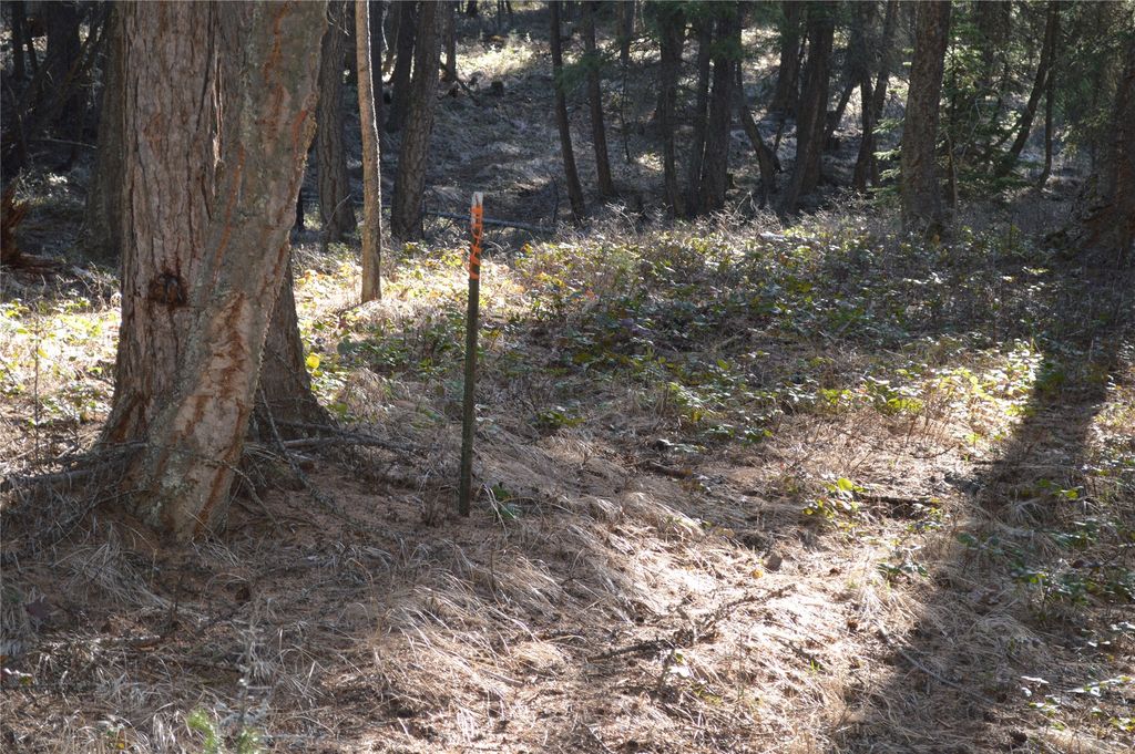 772 Rifle Range Road, Whitefish, MT 59937 photo 6