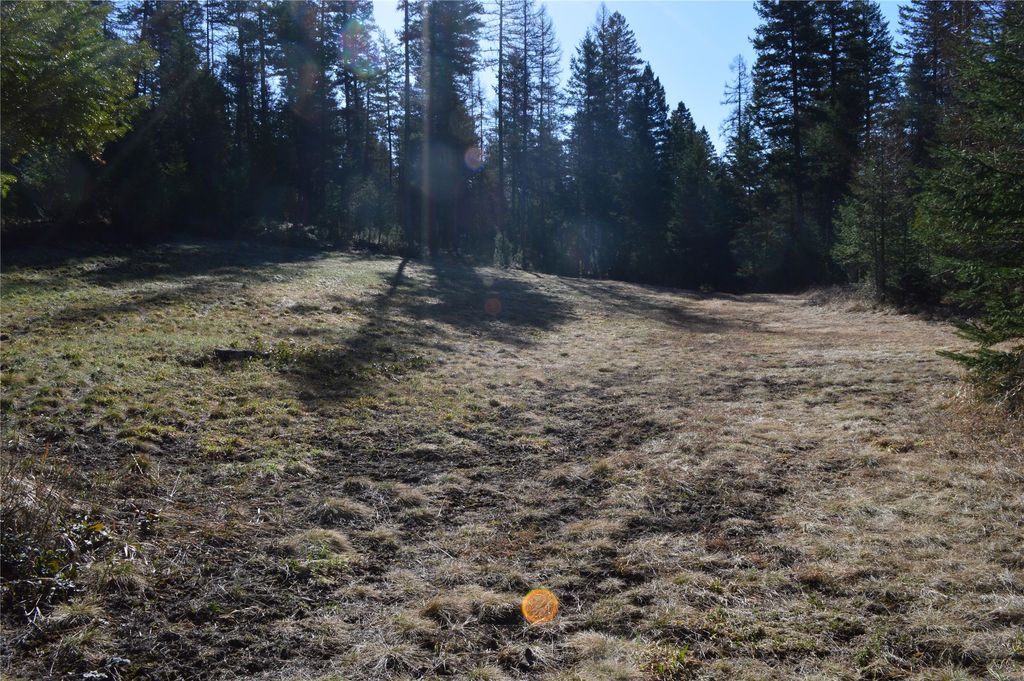 772 Rifle Range Road, Whitefish, MT 59937 photo 8