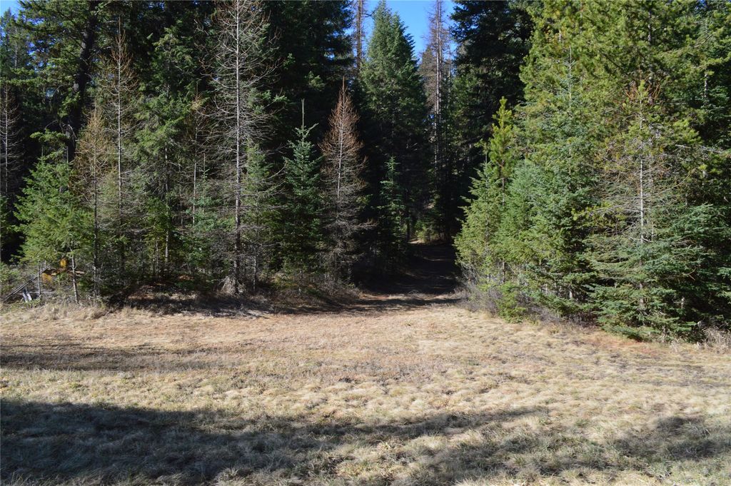 772 Rifle Range Road, Whitefish, MT 59937 photo 9