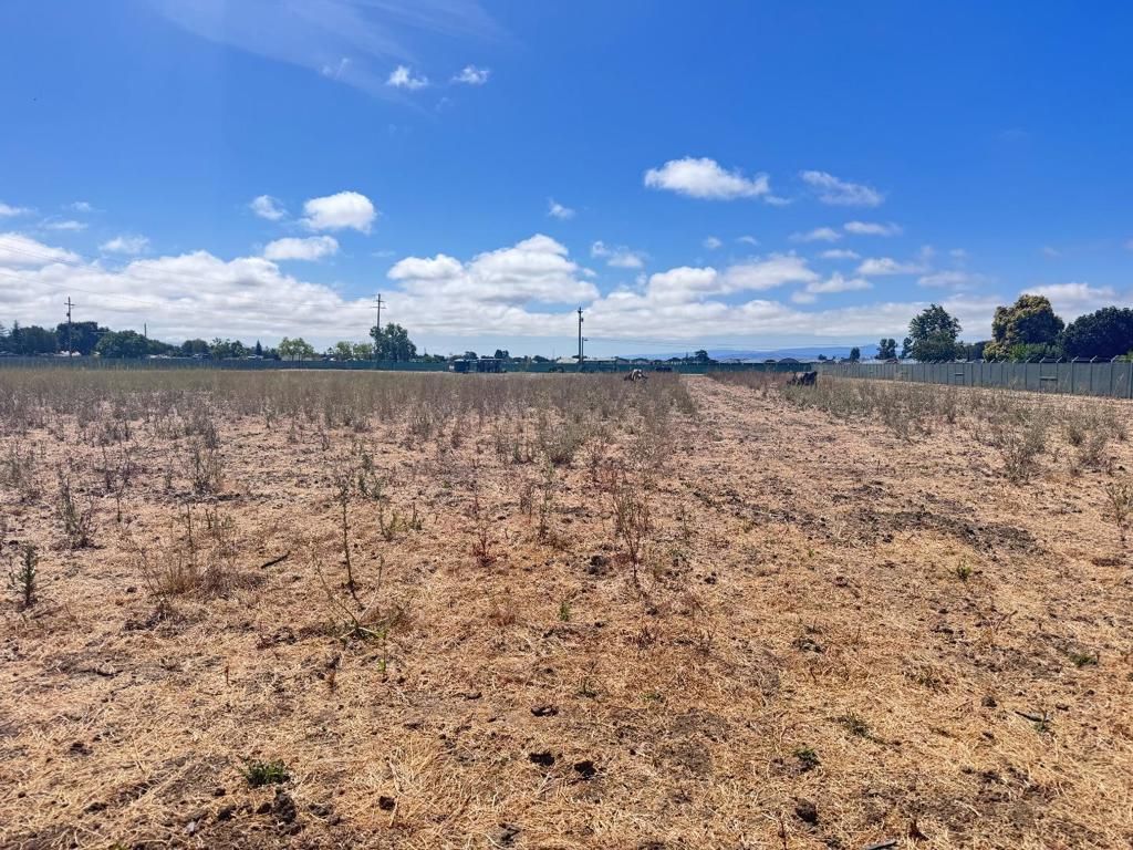 Image 1 of property listing at 0 6th Street, Gilroy, CA 95020