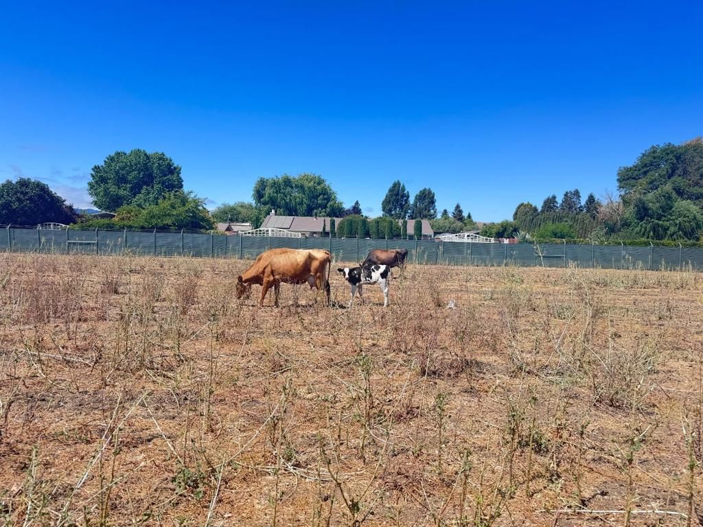 Image 6 of property listing at 0 6th Street, Gilroy, CA 95020