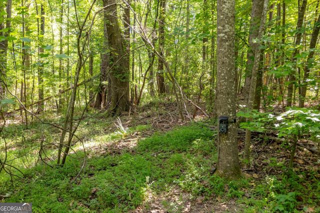 0 Gene Bell Road, Monroe, GA 30655