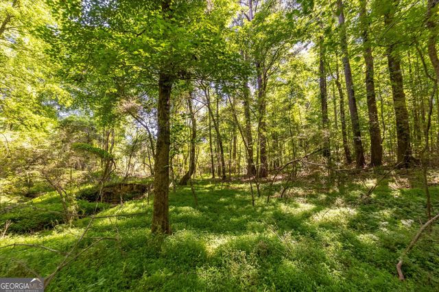 0 Gene Bell Road, Monroe, GA 30655