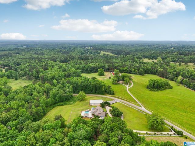 1750 COUNTY ROAD 461, Clanton, AL 35046