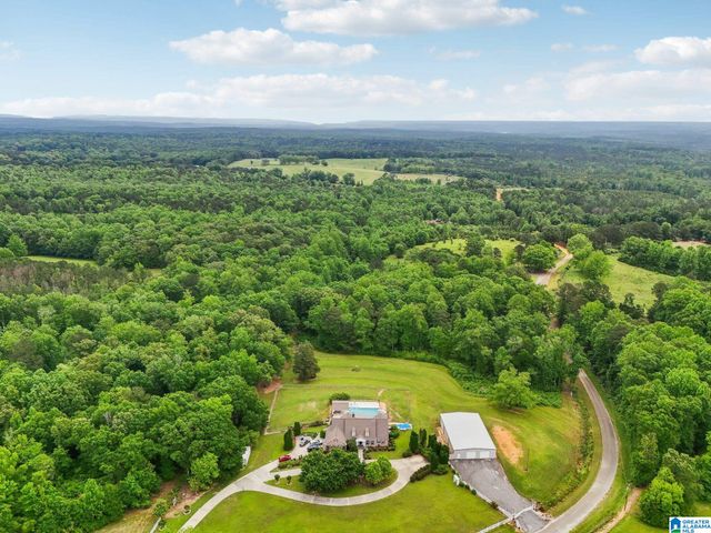 1750 COUNTY ROAD 461, Clanton, AL 35046