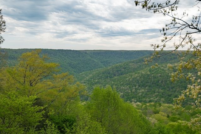 1927 Laurel Lake Dr, Monteagle, TN 37356