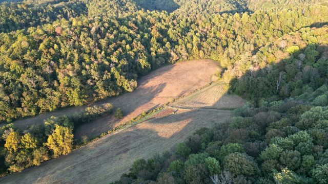 46 Carver Hollow Lane, Pleasant Shade, TN 37145