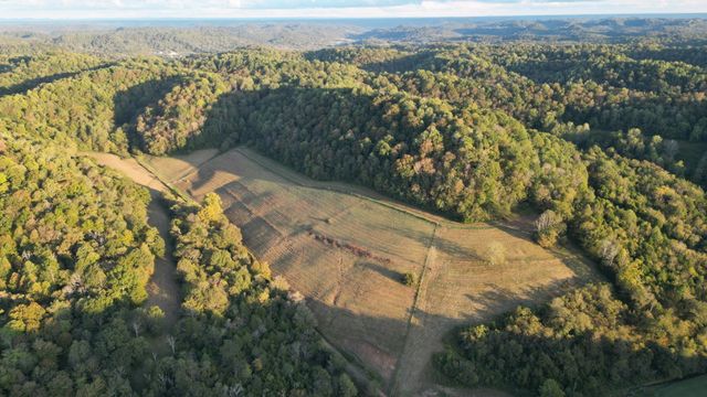46 Carver Hollow Lane, Pleasant Shade, TN 37145