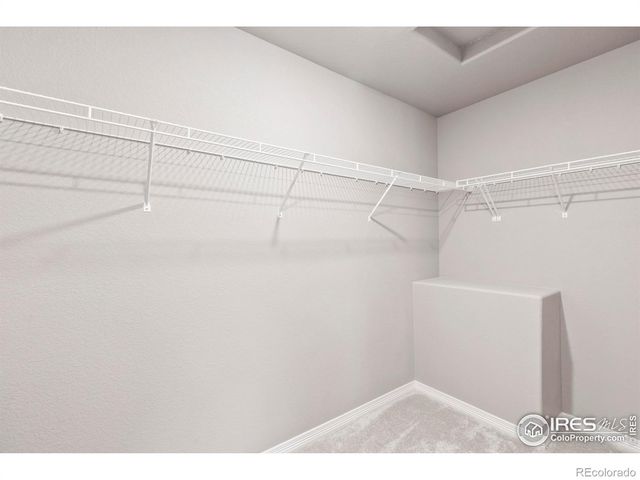 5461 Homeward Drive, Timnath, CO 80547