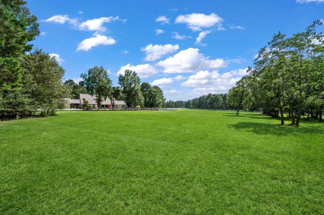 28333 Timber Oaks Court, Magnolia, TX 77355