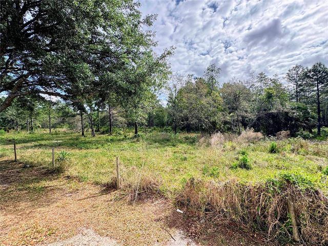 4339 NORTHERN DANCER WAY, Orlando, FL 32826