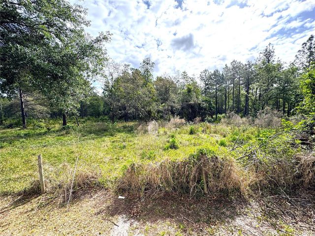 4339 NORTHERN DANCER WAY, Orlando, FL 32826