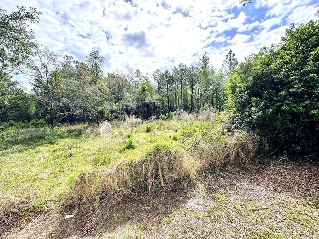 4339 NORTHERN DANCER WAY, Orlando, FL 32826