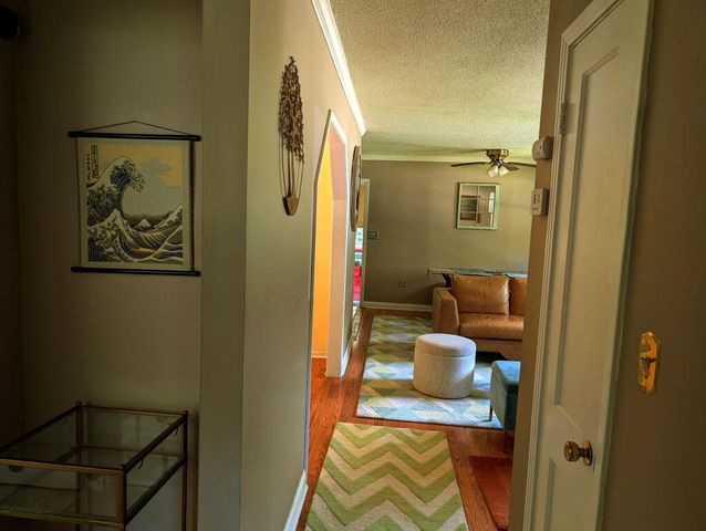 502 Lullwater Road, Chattanooga, TN 37405
