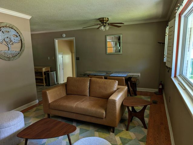 502 Lullwater Road, Chattanooga, TN 37405