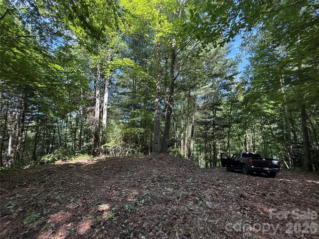 99999 Walking Horse Trail, Candler, NC 28715