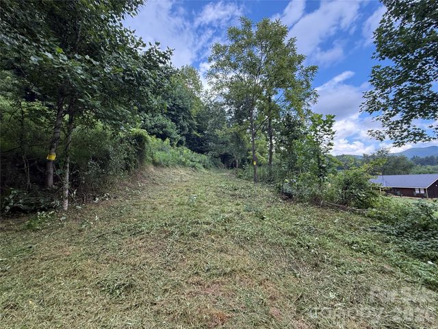 99999 Walking Horse Trail, Candler, NC 28715