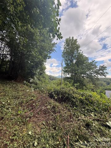 99999 Walking Horse Trail, Candler, NC 28715