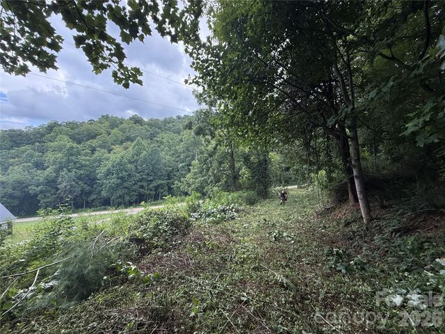 99999 Walking Horse Trail, Candler, NC 28715
