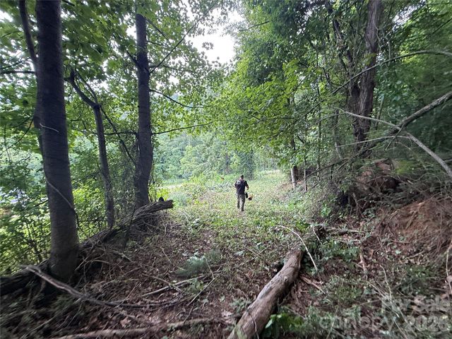 99999 Walking Horse Trail, Candler, NC 28715