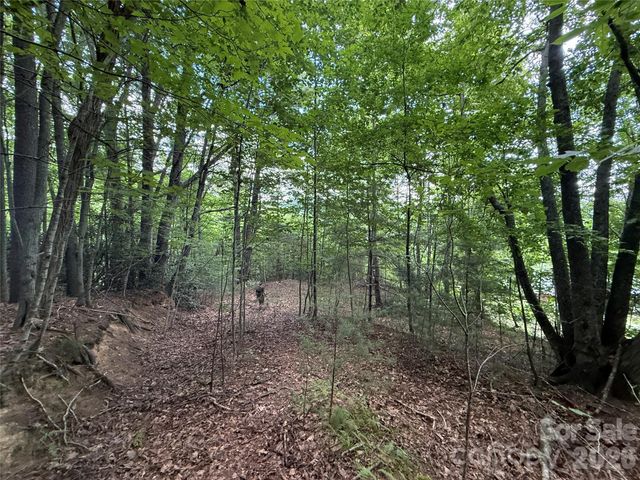 99999 Walking Horse Trail, Candler, NC 28715