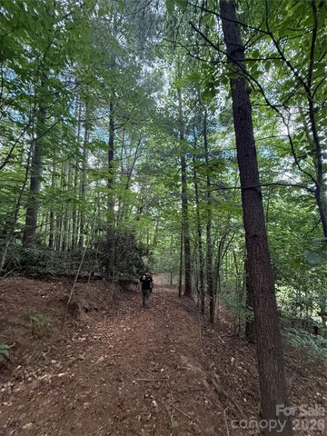 99999 Walking Horse Trail, Candler, NC 28715
