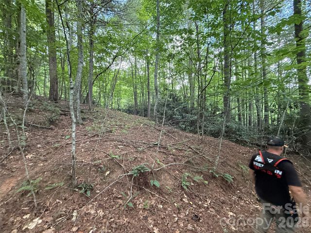 99999 Walking Horse Trail, Candler, NC 28715