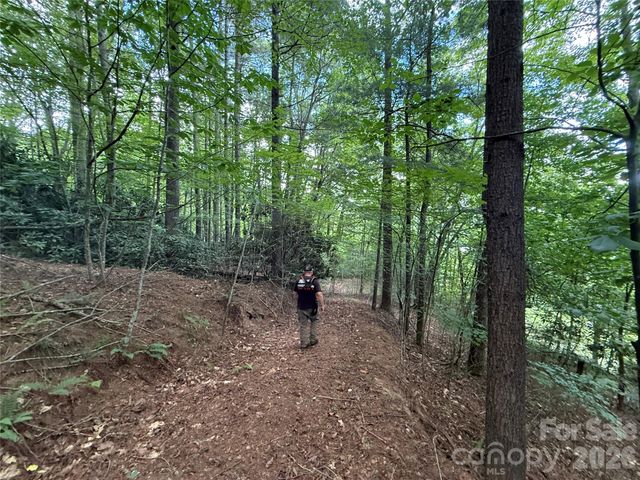 99999 Walking Horse Trail, Candler, NC 28715