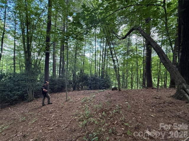 99999 Walking Horse Trail, Candler, NC 28715