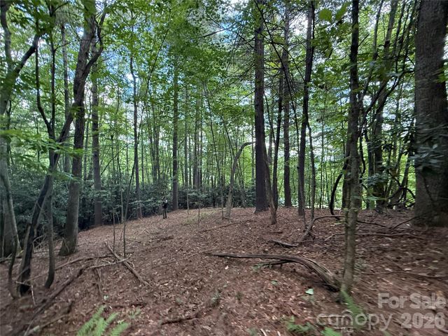 99999 Walking Horse Trail, Candler, NC 28715