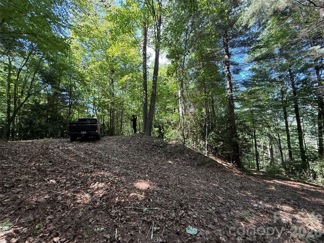 99999 Walking Horse Trail, Candler, NC 28715