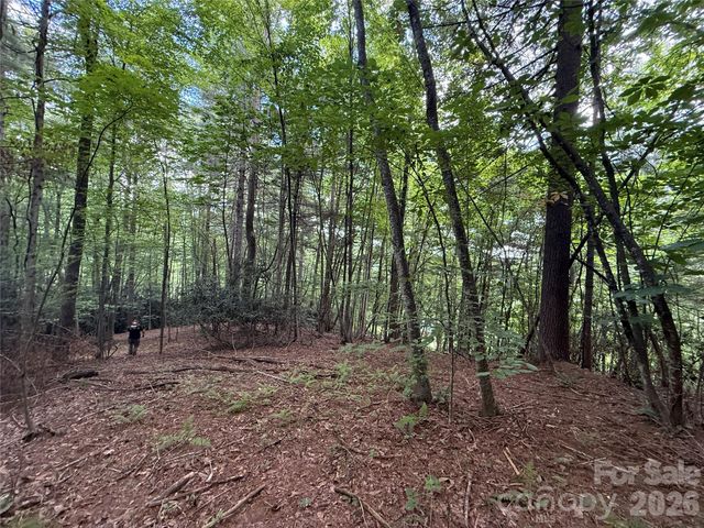 99999 Walking Horse Trail, Candler, NC 28715