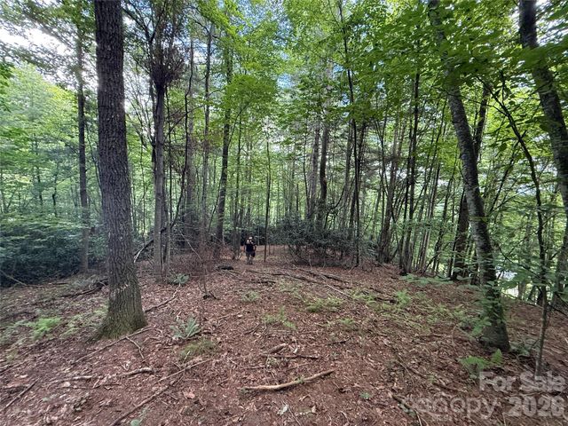 99999 Walking Horse Trail, Candler, NC 28715