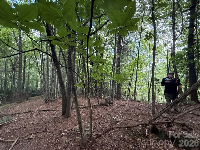 99999 Walking Horse Trail, Candler, NC 28715