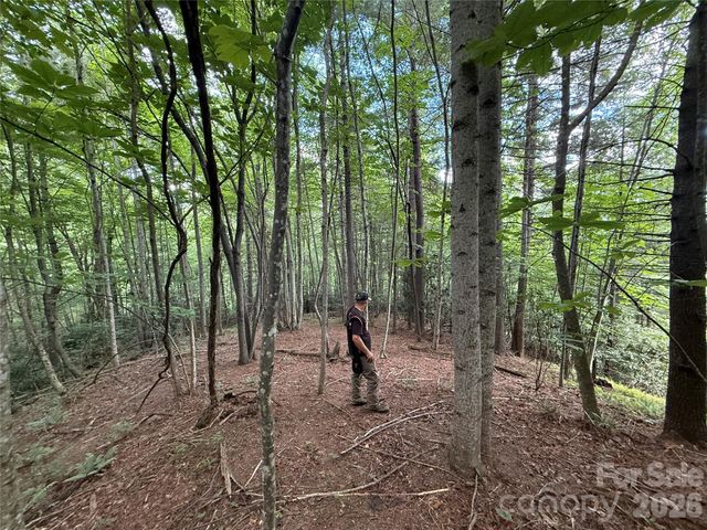 99999 Walking Horse Trail, Candler, NC 28715