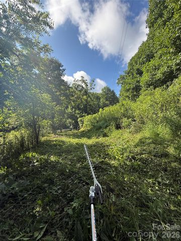99999 Walking Horse Trail, Candler, NC 28715