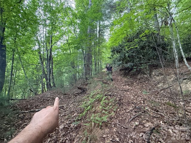 99999 Walking Horse Trail, Candler, NC 28715