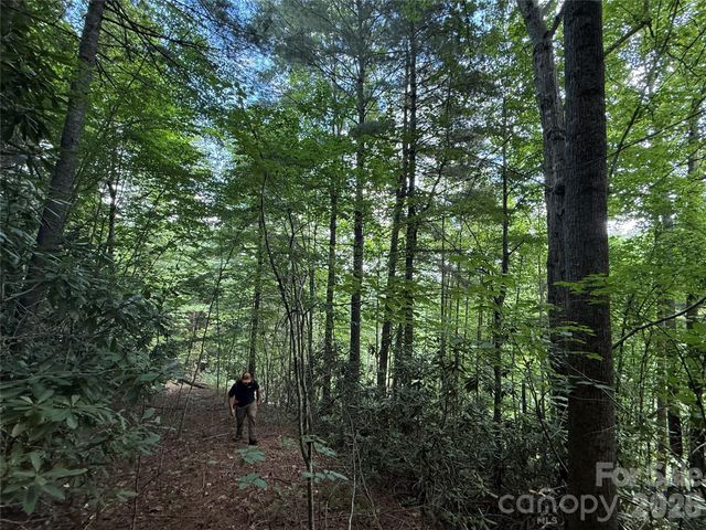 99999 Walking Horse Trail, Candler, NC 28715