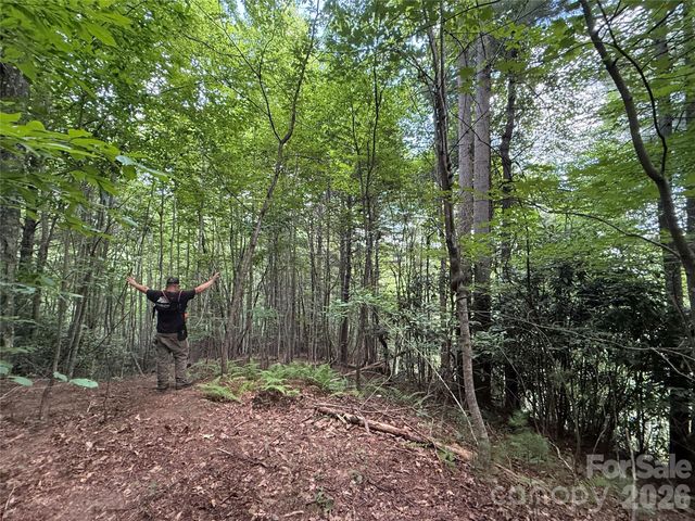 99999 Walking Horse Trail, Candler, NC 28715