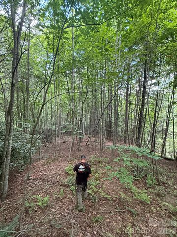 99999 Walking Horse Trail, Candler, NC 28715