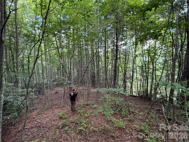 99999 Walking Horse Trail, Candler, NC 28715