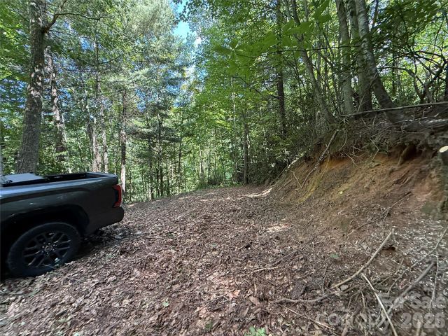 99999 Walking Horse Trail, Candler, NC 28715