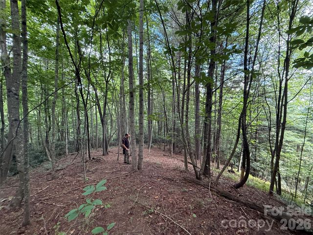 99999 Walking Horse Trail, Candler, NC 28715